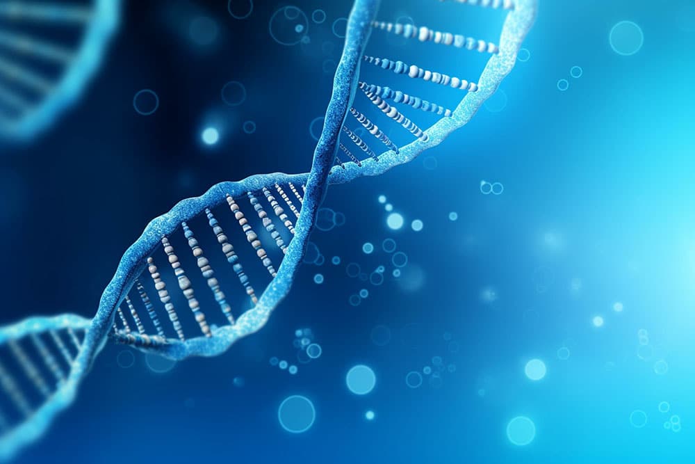 Polynucleotides Wakefield